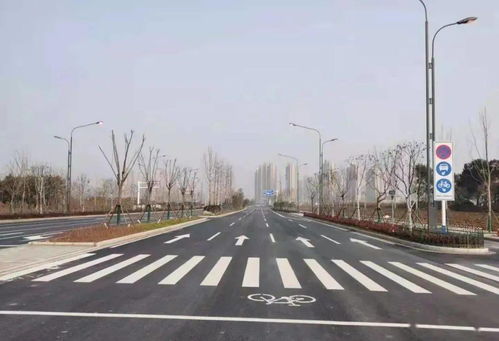 舒城城区交通设施建设全面提速，织密安全出行网